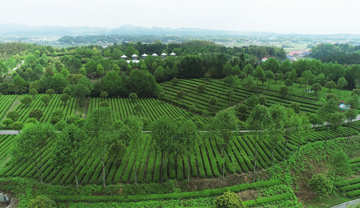 中国科技股份集团飞跃基地.png