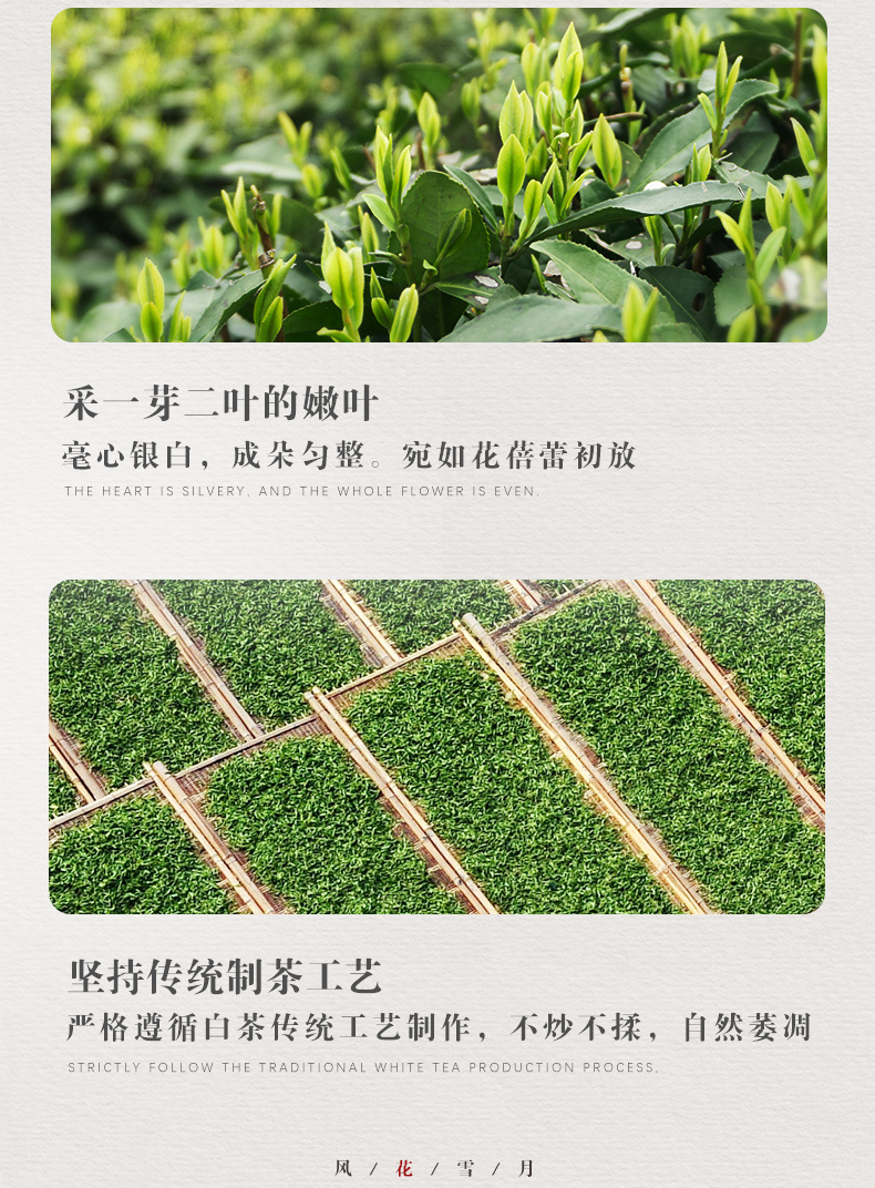 桑植白新利体育_04.jpg