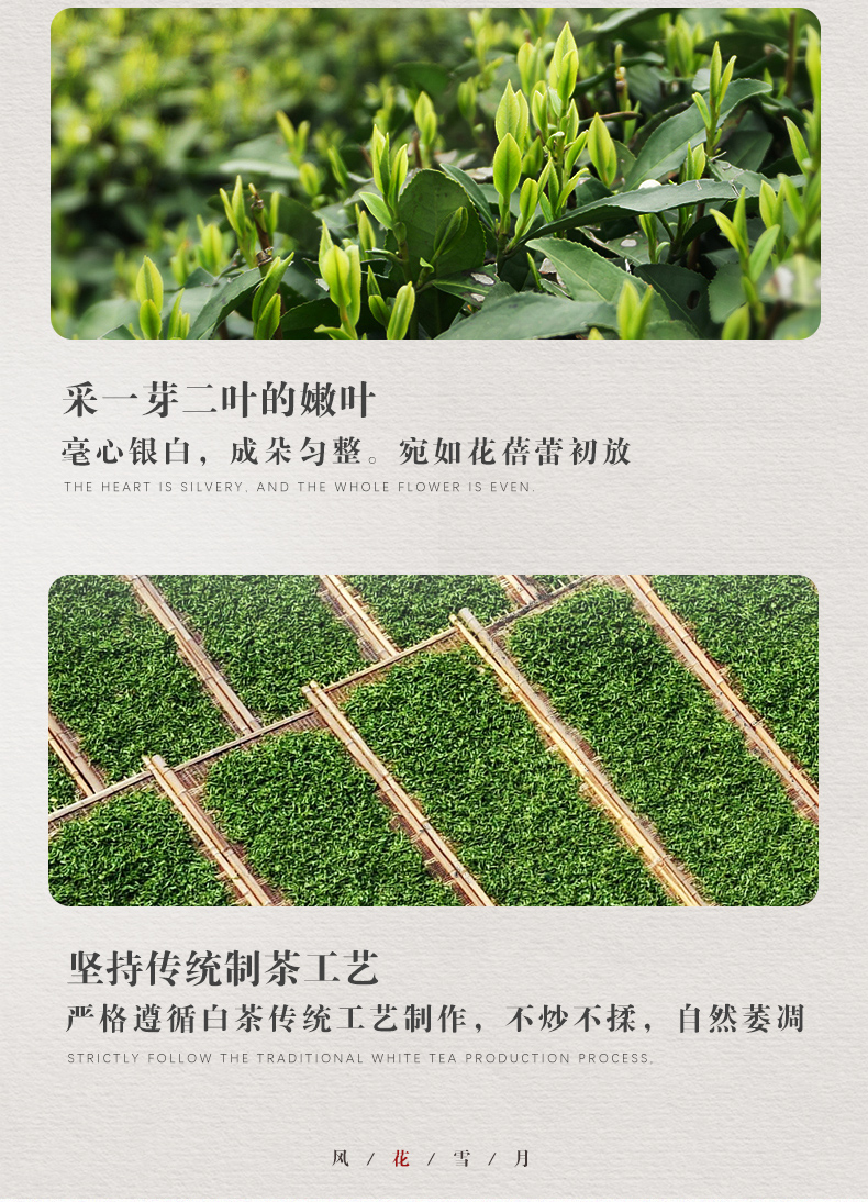 桑植白新利体育立袋_04.jpg