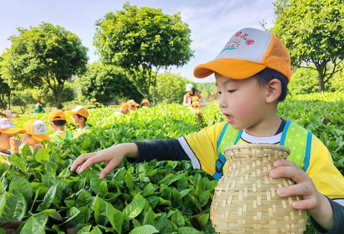 幼儿园萌娃变身“小新利体育农”体验家乡新利体育文化